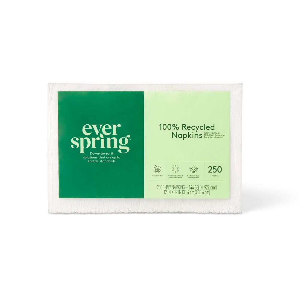 100% Recycled Napkins - 250ct - Everspring