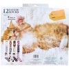 Hypnotic Socks You Gotta Be Kitten Me Womens 12 Days of Socks in Advent Gift Box - 2 of 4
