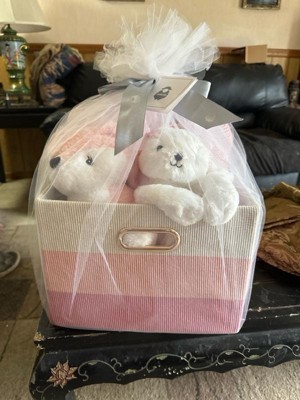 Target baby hot sale gift basket