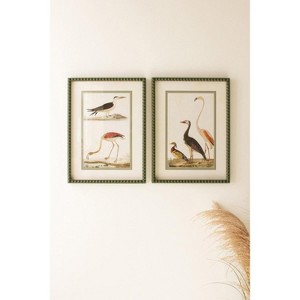 Birds Framed Wall Art Set – 21"H Wood & Glass Printed Bird Illustrations with Light Mattes (Set of 2) By Kalalou - 1 of 3