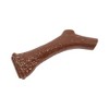 Country Living Nylon Antler Chew Toy for Dogs - Natural Chicken Flavor - 2 of 4