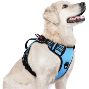 rabbitgoo Dog Harness for Large Dogs, , Easy Walking Harness with 2 Leash Clips, Light Blue, L - 1 of 1