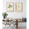 18" x 24" (Set of 2) Sylvie Ferns by Corinna Buchholz of Piddix Framed Wall Canvas Set Natural - Kate & Laurel All Things Decor - 4 of 4