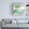 Trademark Fine Art -Chris Paschke 'Peaceful Dusk I Tropical' Canvas Art - 2 of 4
