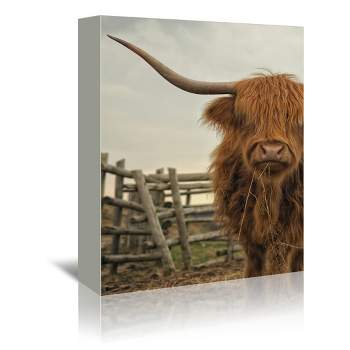 Americanflat Animal Farmhouse Cow Photo By Tanya Shumkina Wrapped Canvas
