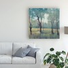 Trademark Fine Art -Tim Otoole 'Thin Morning Mist' Canvas Art - 3 of 4