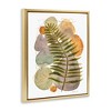 Stupell Industries Abstract Fern & Pebbles, 17" x 21" - 3 of 4