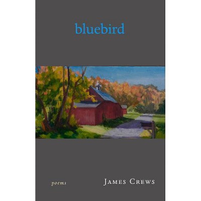 Bluebird - by  James Crews (Paperback)