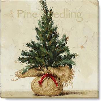 Sullivans Darren Gygi Pine Seedling Canvas, Museum Quality Giclee Print, Gallery Wrapped, Handcrafted in US