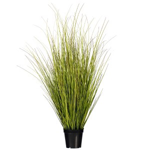 Green/Brown Switchgrass Potted - 1 of 4