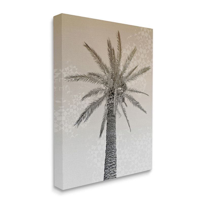 Stupell Industries Vintage Sepia Palm Tree Geometric Pattern Gallery Wrapped Canvas Wall Art, 16 x 20, 1 of 5