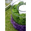 SuperMoss Preserved Reindeer Moss, Forest, 8oz bag (200 cubic inch) - 2 of 4