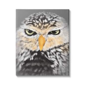 Stupell Industries Owl Wildlife Portrait Canvas Wall Art