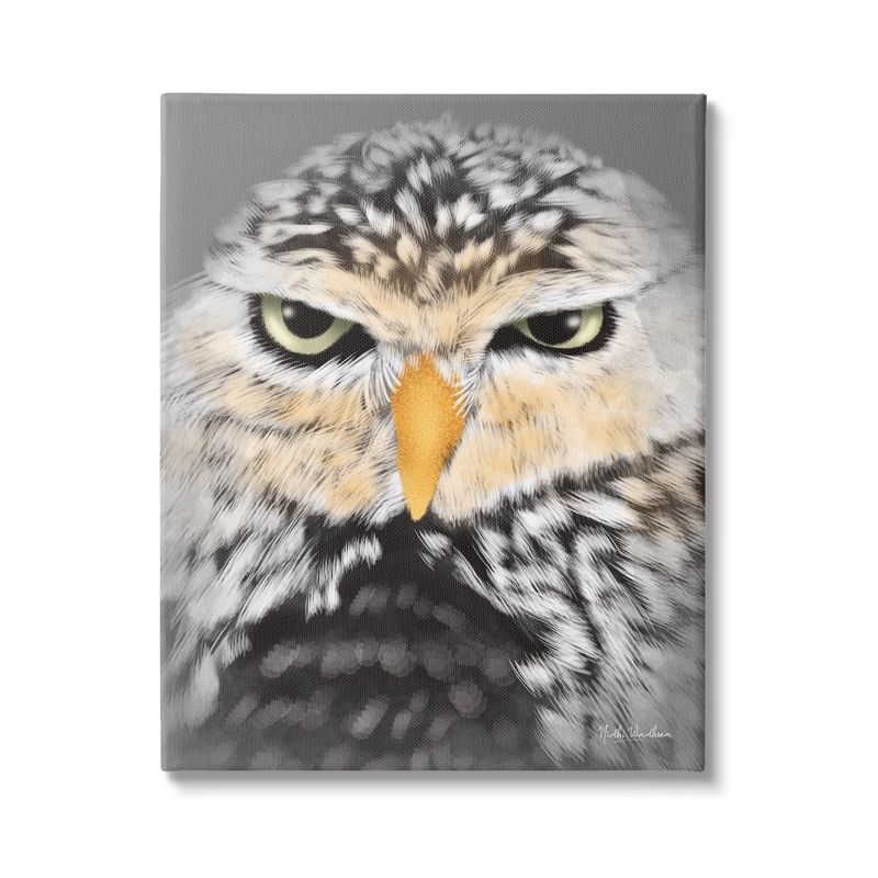 Stupell Industries Owl Wildlife Portrait Canvas Wall Art, 1 of 6