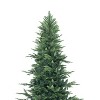 Home Imports Emporium Lujan Prelit Artificial Christmas Tree, Realistic Nordic Christmas Tree with Lights, Green - 4 of 4
