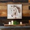 Framed Horse Canvas Art 24"SQ - 3 of 3