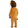Princess Paradise Toddler Littlest Lion Costume - 2 of 3