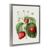 Stupell Industries Vintage Strawberries Study, 25" x 31" - 3 of 4