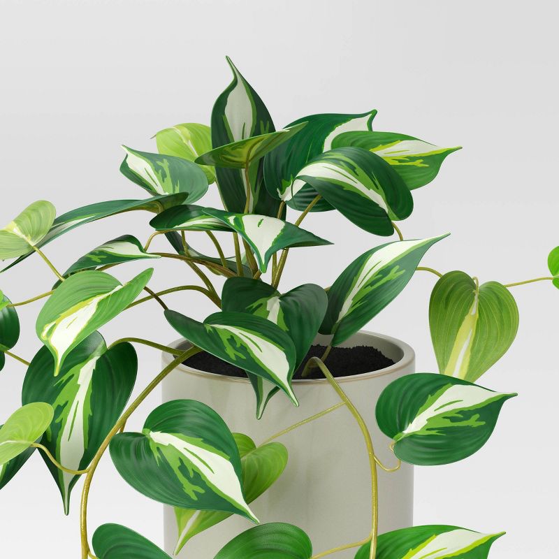 Small Marble Pothos Plant - Threshold&#8482;, 4 of 8