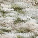 ivory, off white, olive