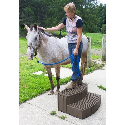 Oak Brown 2-Step Plastic Storage Step