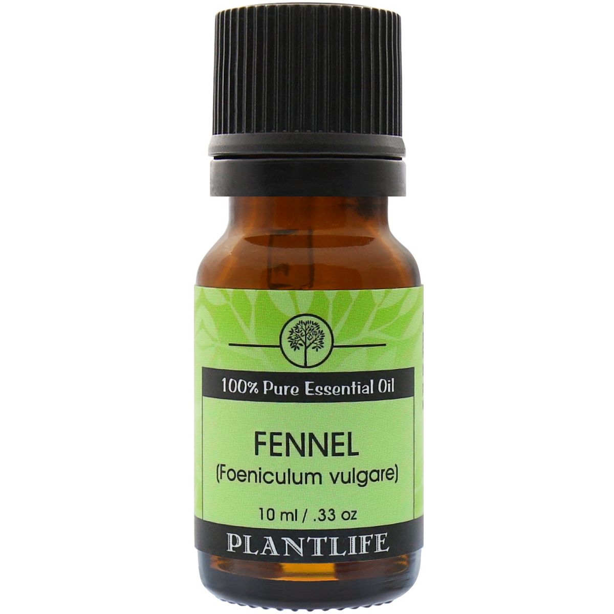 Plantlife Fennel Aromatherapy Essential Oil – 100% Pure, Therapeutic Grade, No Additives or Fillers, 10 ml