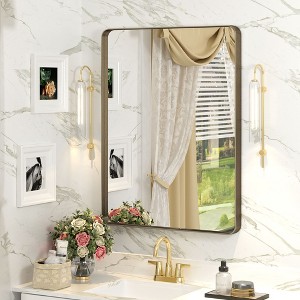 Apmir 24 in. W x 32 in. H Rectangular Aluminum Alloy Framed and Tempered Glass Wall Mirror in Brushed Bronze - 1 of 4