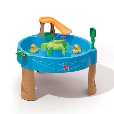 Step2 Duck Pond Water Table Target