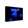 Trademark Fine Art - Jan Matussik Deep Sea Ballerina Matted Framed Art - 2 of 4