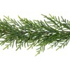 Northlight Norfolk Pine Artificial Christmas Garland - 6' x 10" - Unlit - 4 of 4