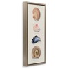 Stupell Industries Traditional Nautical Sea Shells, 15" x 31" - 3 of 4