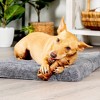 Pet Factory Made in USA Beefhide Bones - 2 of 3