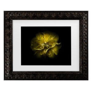 Trademark Fine Art - Brian Carson Backyard Flowers 67 Matted Framed Art - 1 of 4