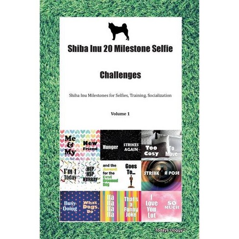 Shiba Inu 20 Milestone Selfie Challenges Shiba Inu Milestones For Selfies Training Socialization