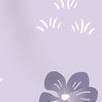 light lavender violets
