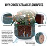 KWPZQEB Set of 3 Ceramic Plant Pot, Indoor Flower Pots Set with Drainage Holes, Outdoor Garden Planters, Modern Decorative Flower - 4 of 4