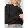 Women's CROPPED SWEATSHIRT - WE WORE WHAT - 4 of 4