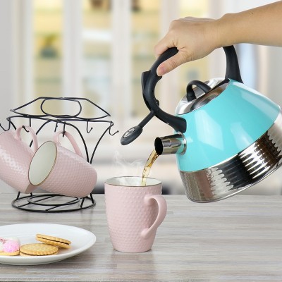 Turquoise Stainless Steel Whistling Tea Kettle with Black Handle