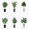 Aoibox Artificial Palm Tree with Black Planter - Faux Tropical Areca Floor Plant in Pot for Home Office Living Room Decor Indoor - 4 of 4