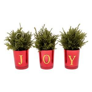 8" Christmas "JOY" Tabletop Card Holder Votive Set - National Tree Company - 1 of 4