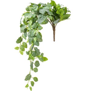 Vickerman Green Artificial Fittonia Bush - 1 of 3
