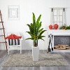 HomeStock  5.7 ft. Artificial Palm Tree in Planter for Indoor/Outdoor - 3 of 3