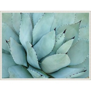 Amanti Art Agave Detail IV by Brittany Evans Framed Canvas Wall Art - 1 of 4