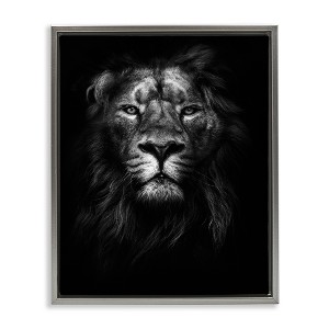 Stupell Industries Lion In Shadows Photography Floating Frame Canvas Art, Gray, 17" x 21" - 1 of 4
