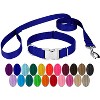 Country Brook Petz Premium Nylon Dog Collar and Leash Set for Small Medium Large Dogs - Vibrant 30+ Color Selection - 2 of 4