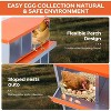 Coucheta Chicken Nesting Boxes - Available in Multiple Styles (Bracket Leg/Two-Tier/Wall Mount) & Compartments (6/8/10) for Easy Egg Collection. - 3 of 4