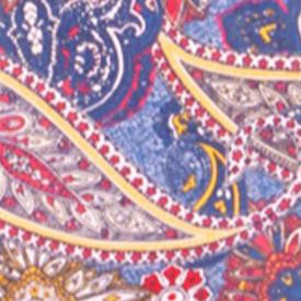 royal navy outlined paisley