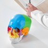 VEVOR Human Skull Model, 22 Parts Human Skull Anatomy, Life-Size Painted Anatomy Skull Model, PVC Anatomical Skull, Multicolored - 2 of 4