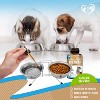 Beloved Pets Natural Intestinal Defense Herbal Cleanse for Dogs and Cats with Probiotic, Advanced Broad Spectrum Formula Gut Health 2 Oz - 1 Pack - 3 of 4