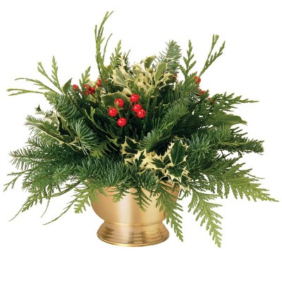 Live Fresh Cut Pacific Northwest Festive Holly Centerpiece - Van Zyverden